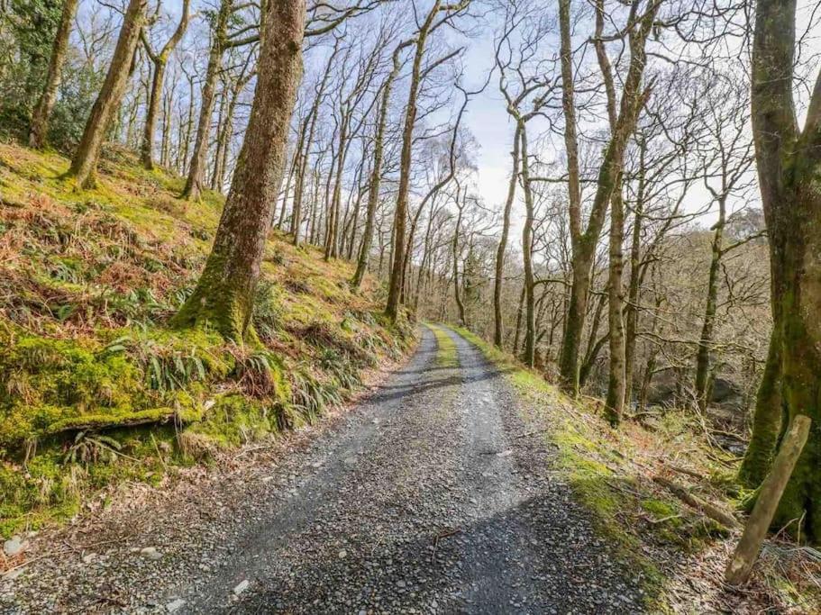 Pandy Farm - Waen Fechan Dolgellau Dış mekan fotoğraf