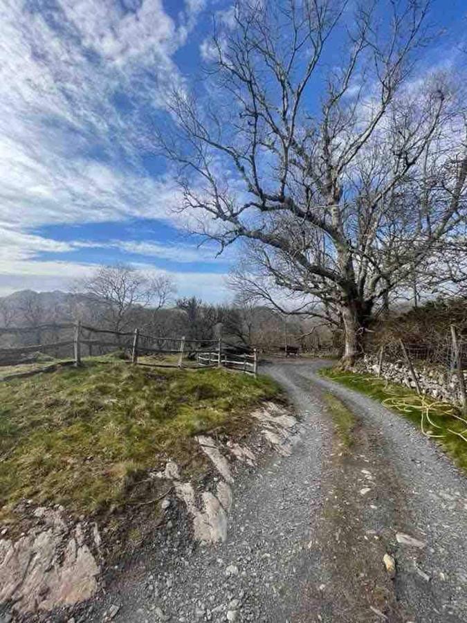 Pandy Farm - Waen Fechan Dolgellau Dış mekan fotoğraf
